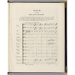 Huguenots