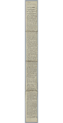 Article, The Daily Post
