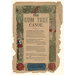 Gum tree canoe