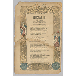 Rosalie the prairie flower