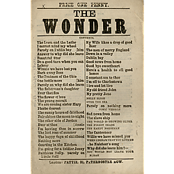 Wonder