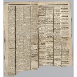 The Pittsburgh Evening Chronicle