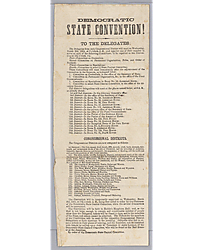 "Democratic State Convention"