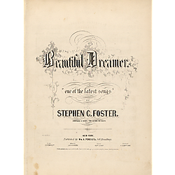 Beautiful dreamer