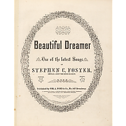 Beautiful dreamer