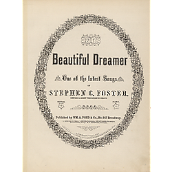 Beautiful dreamer