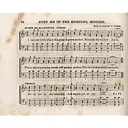Waters' golden harp