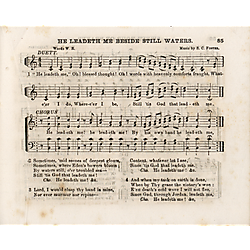 Waters' golden harp