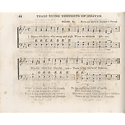 Waters' golden harp