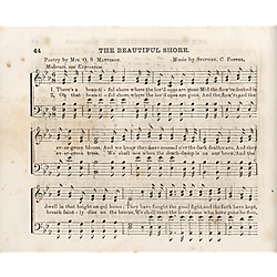 Waters' golden harp