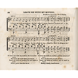 Waters' golden harp