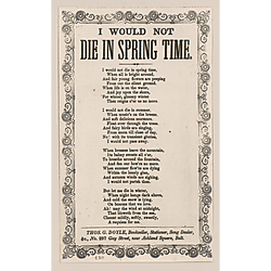 I would not die in spring time. Text Text