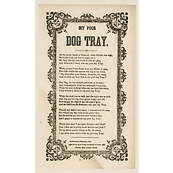 My poor dog Tray. Text Text