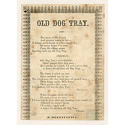 Old dog tray. Text Text