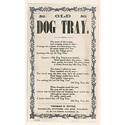 Old dog tray. Text Text