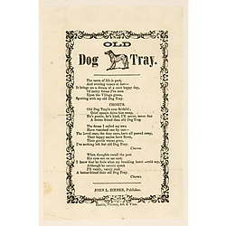 Old dog tray. Text Text