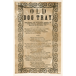 Old dog tray. Text Text