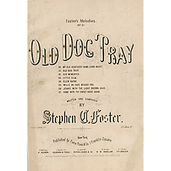 Old dog Tray