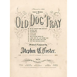 Old dog Tray
