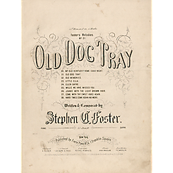 Old dog Tray