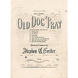 Old dog Tray