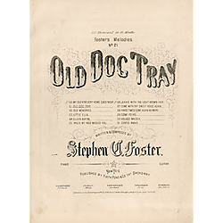 Old dog Tray