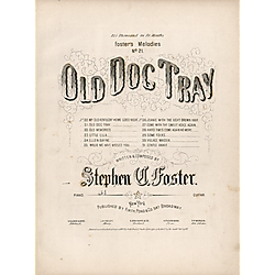 Old dog Tray