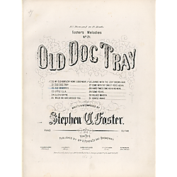 Old dog Tray