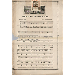 Demorest's New York illustrated news. June 4, 1864