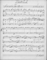Opus 8 Marsch-Fantasie fur grosses Orchester: first and second flute