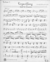 Opus 51 Verzweiflung: 1st violin