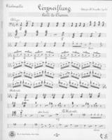 Opus 51 Verzweiflung: cello