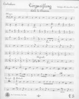 Opus 51 Verzweiflung: bass