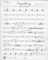 Opus 51 Verzweiflung: timpani