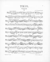 Opus 29 Trio fur Klavier, Violine und Violoncello cello
