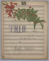 Trio for Violin, Flute and Piano in D Minor - Score,
