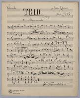 Trio : [no.] 29 - Parts: Violoncello,
