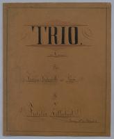 Trio : [no.] 28 - Score,