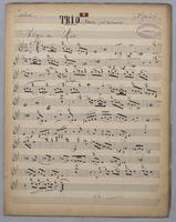 Trio : [no.] 8 - Violine,