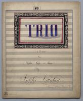 Trio in D Minor - Score,