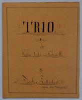 Trio : [no.] 12 - Parts: Violin,