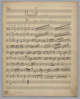 Quartett : [no.] 39 - Parts: Viola