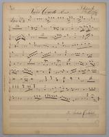 Violin Concerto in E Moll - Parts: Flute,