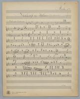 Nachruf an L. van Beethoven - Parts: Flute 1,