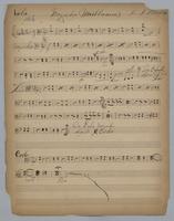 Maiblumen - Parts: Viola,