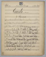 2nd Concerto - Parts: Solo Flute