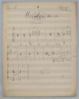 Orioles : Waltz No. 19 - Score