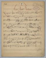Eine Faust-Fantasie - Parts: Viola