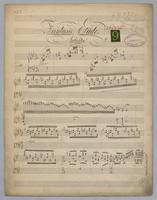 Fantasie Etude : No. 9 [i.e., 3] : Wild of the Wisp = Irrlichter : [for piano : in F# minor],
