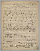 Fantasie Etüde : No. 21 : Seenymphen : [for piano],